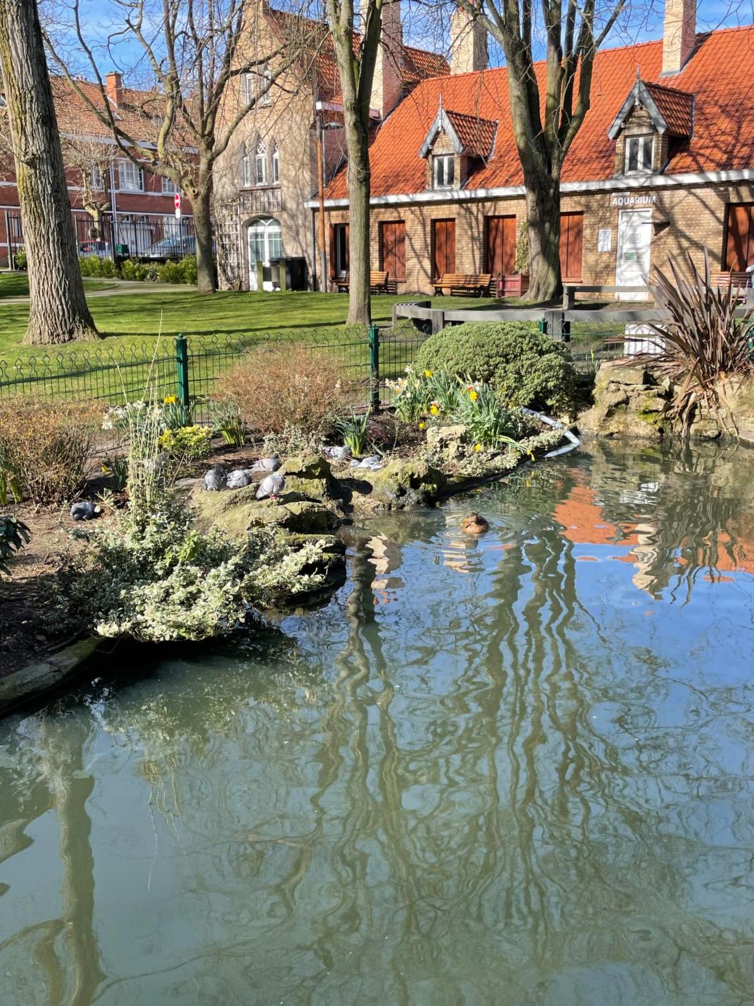 Villa La Petite Malouine Dunkirk Esterno foto